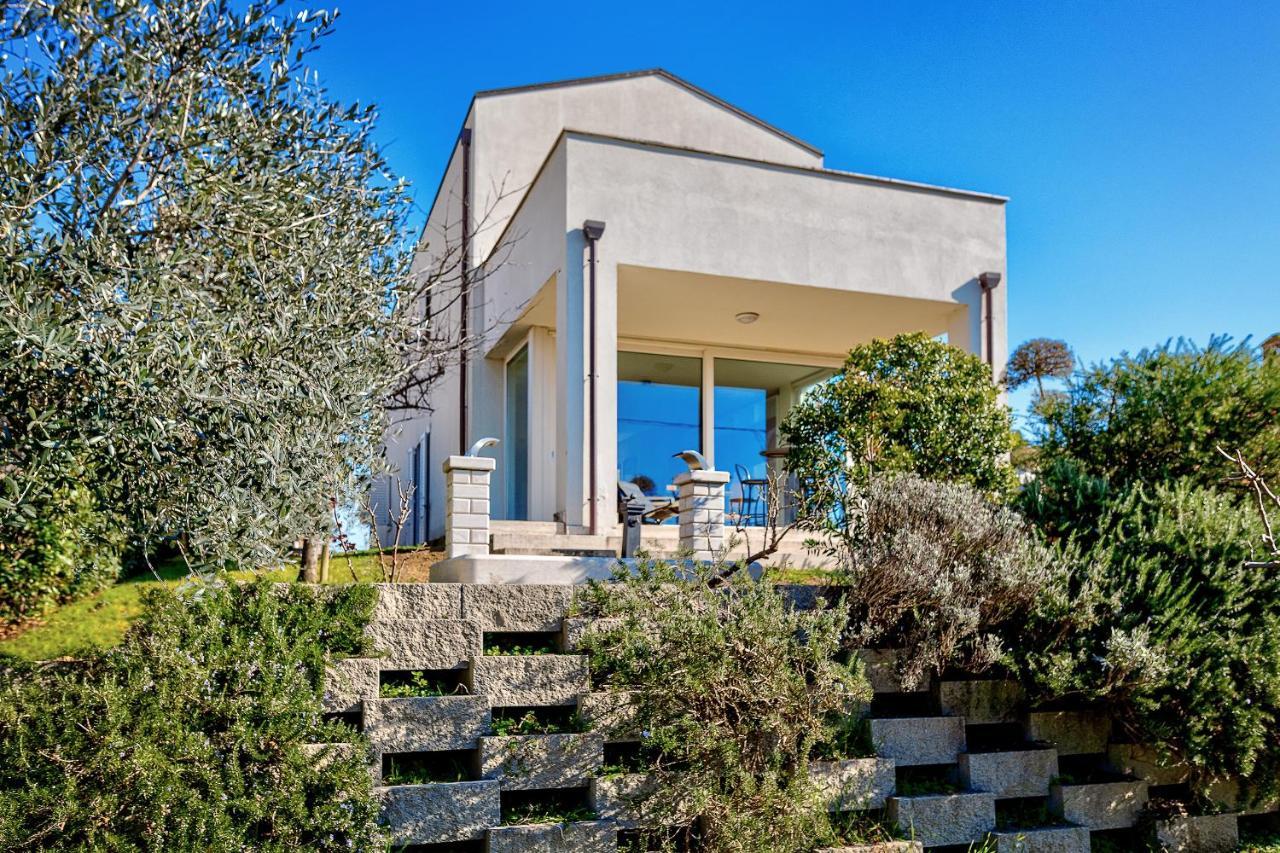 Villa Il Poggino - Modern House Foiano Della Chiana Exterior photo